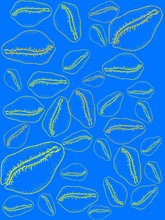 Load image into Gallery viewer, COVER ME IN COWRIE Sheer Scarves
